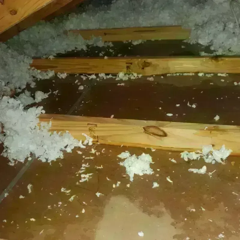 Attic Water Damage in Silverdale, WA